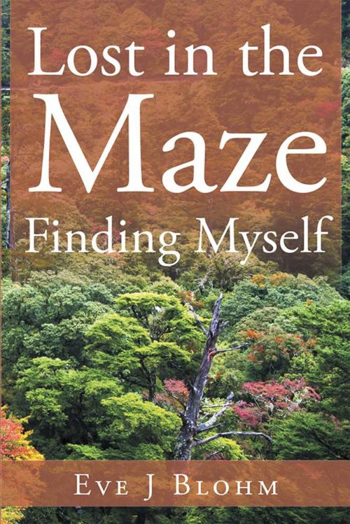 Cover of the book Lost in the Maze Finding Myself by Eve J Blohm, Xlibris US
