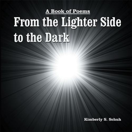 Cover of the book From the Lighter Side to the Dark by Kimberly S. Schuh, Xlibris US