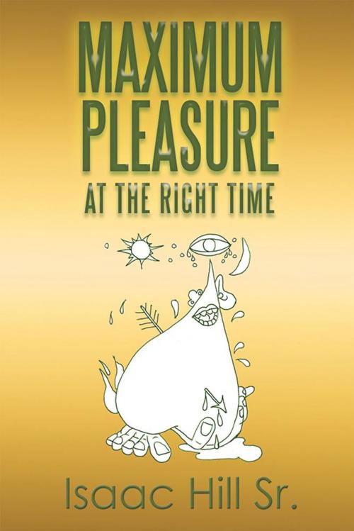 Cover of the book Maximum Pleasure by Isaac Hill Sr., Xlibris US