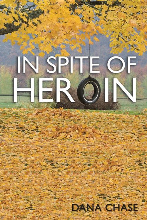 Cover of the book In Spite of Heroin by Dana Chase, AuthorHouse