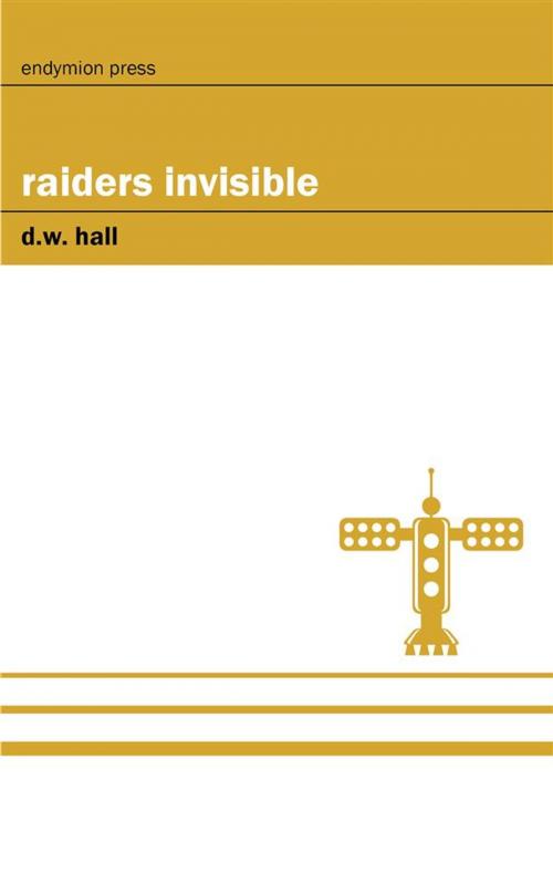Cover of the book Raiders Invisible by D.W. Hall, Endymion Press