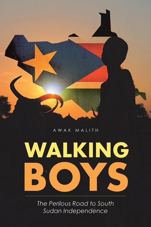 Cover of the book Walking Boys by Awak Malith, iUniverse