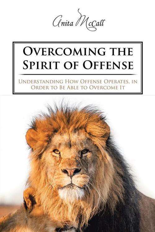Cover of the book Overcoming the Spirit of Offense by Anita McCall, iUniverse