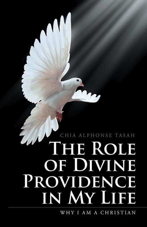 Cover of the book The Role of Divine Providence in My Life by Chia Alphonse Tasah, iUniverse