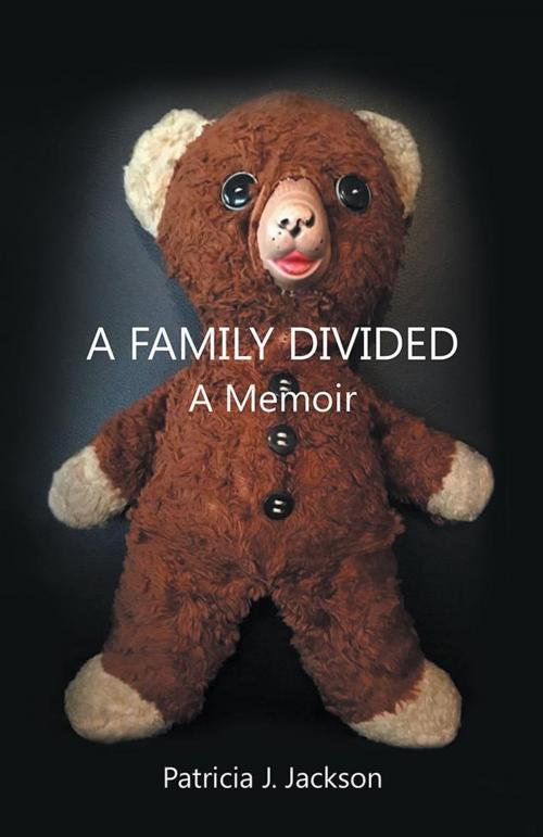 Cover of the book A Family Divided by Patricia J. Jackson, iUniverse