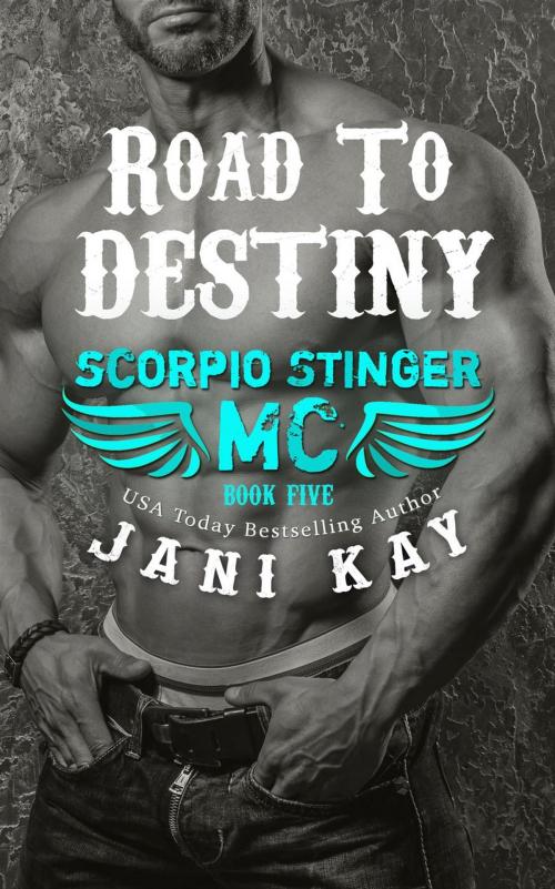 Cover of the book Road To Destiny by Jani Kay, Jani Kay
