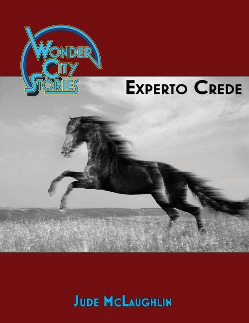 Cover of the book Experto Crede by Jude McLaughlin, Jude McLaughlin
