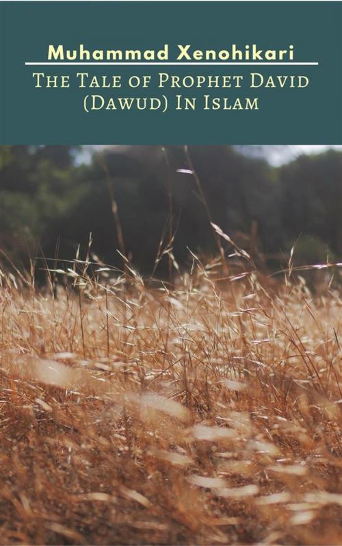 Cover of the book The Tale of Prophet David (Dawud) In Islam by Muhammad Xenohikari, Muhammad Xenohikari