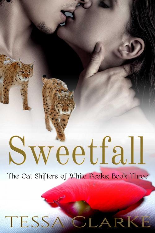 Cover of the book Sweetfall by Tessa Clarke, Jennifer Ellis