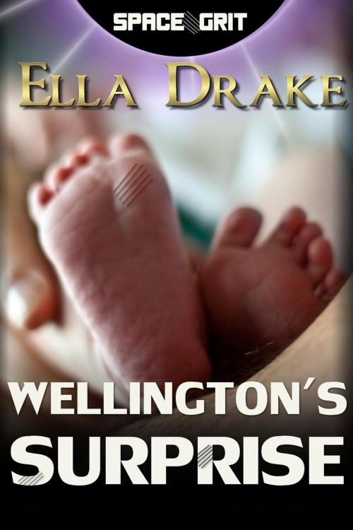 Cover of the book Wellington's Surprise by Ella Drake, Ella Drake