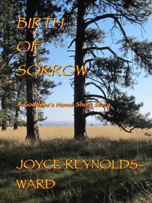 Cover of the book Birth of Sorrow by Joyce Reynolds-Ward, Joyce Reynolds-Ward