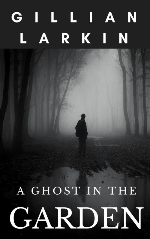 Cover of the book A Ghost in the Garden by Gillian Larkin, Gillian Larkin