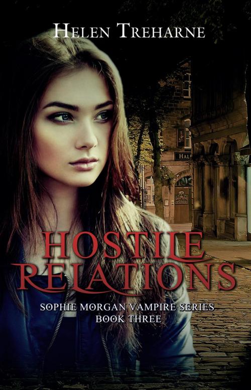 Cover of the book Hostile Relations by Helen Treharne, Helen Treharne