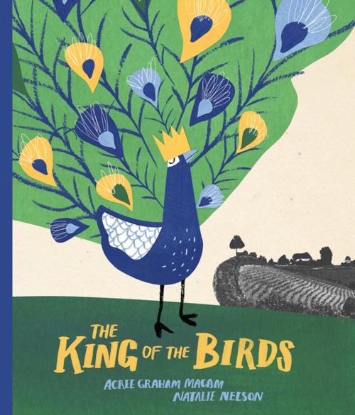 Cover of the book The King of the Birds by Acree Macam, Groundwood Books Ltd