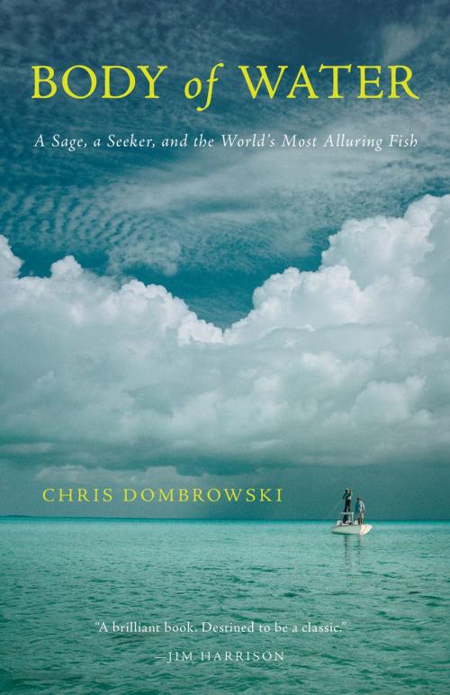 Cover of the book Body of Water by Chris Dombrowski, Milkweed Editions