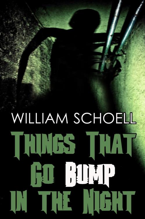Cover of the book Things That Go Bump in the Night by William Schoell, Cemetery Dance Publications