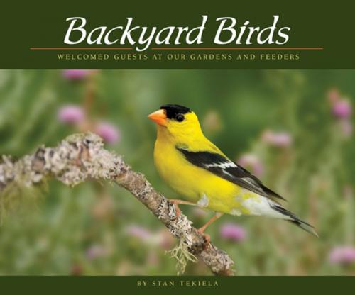 Cover of the book Backyard Birds by Stan Tekiela, Adventure Publications