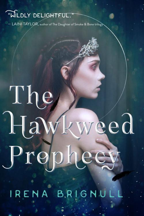 Cover of the book The Hawkweed Prophecy by Irena Brignull, Hachette Books