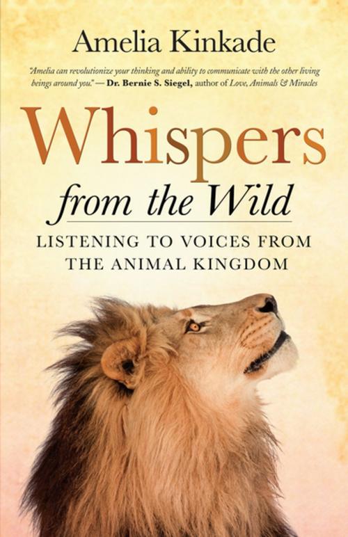 Cover of the book Whispers from the Wild by Amelia Kinkade, New World Library