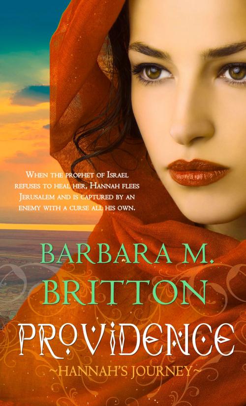 Cover of the book Providence by Barbara Britton, Pelican Book Group
