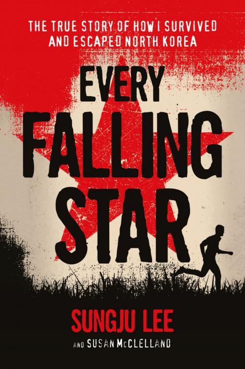 Cover of the book Every Falling Star by Sungju Lee, Susan Elizabeth McClelland, ABRAMS