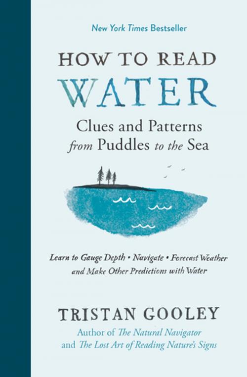 Cover of the book How to Read Water by Tristan Gooley, The Experiment