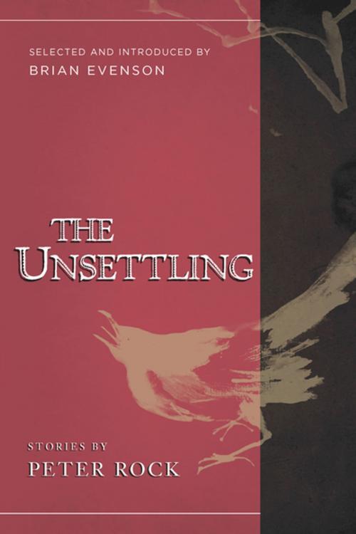 Cover of the book The Unsettling by Peter Rock, Brian Evenson, Counterpoint