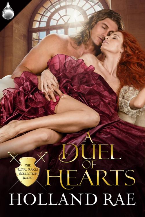 Cover of the book A Duel of Hearts by Holland Rae, Liquid Silver Books