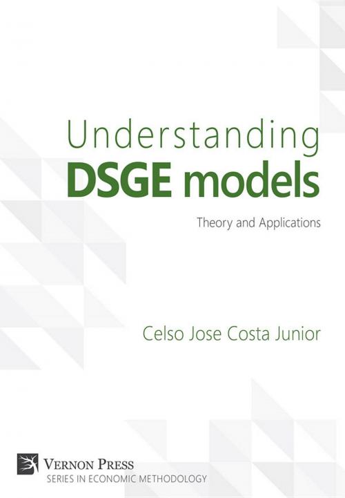 Cover of the book Understanding DSGE models by Celso Jose Costa Junior, Vernon Art and Science Inc.