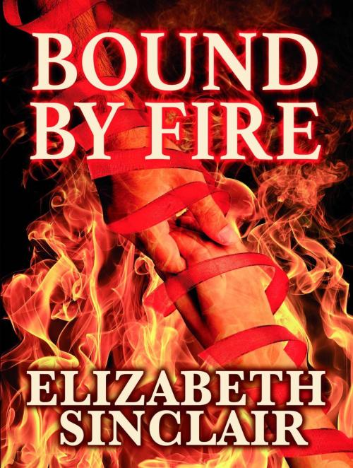Cover of the book Bound By Fire by Elizabeth Sinclair, Salt Run Publishing LLC