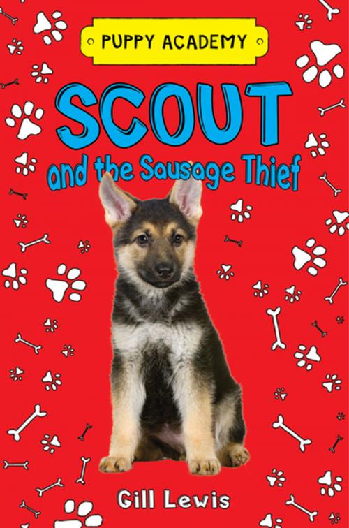 Cover of the book Scout and the Sausage Thief by Gill Lewis, Henry Holt and Co. (BYR)