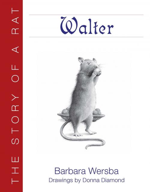 Cover of the book Walter by Barbara Wersba, Boyds Mills Press