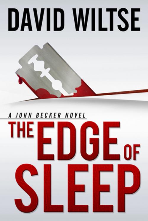 Cover of the book The Edge of Sleep by David Wiltse, Graymalkin Media