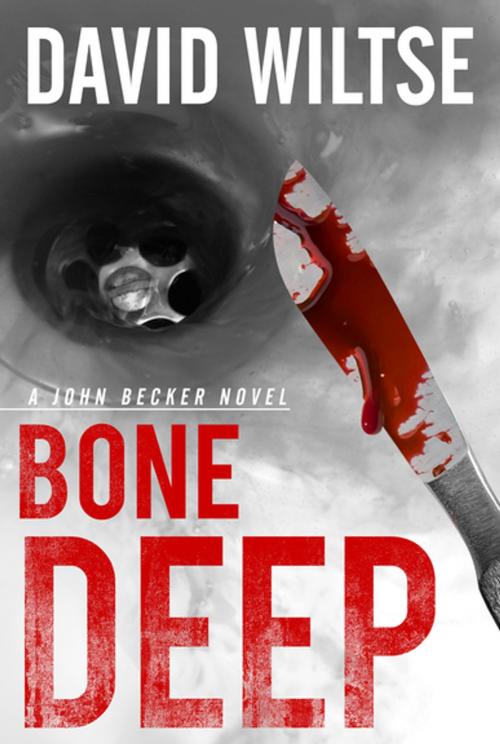 Cover of the book Bone Deep by David Wiltse, Graymalkin Media
