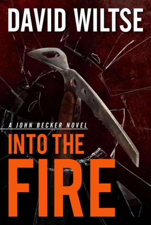 Cover of the book Into the Fire by David Wiltse, Graymalkin Media