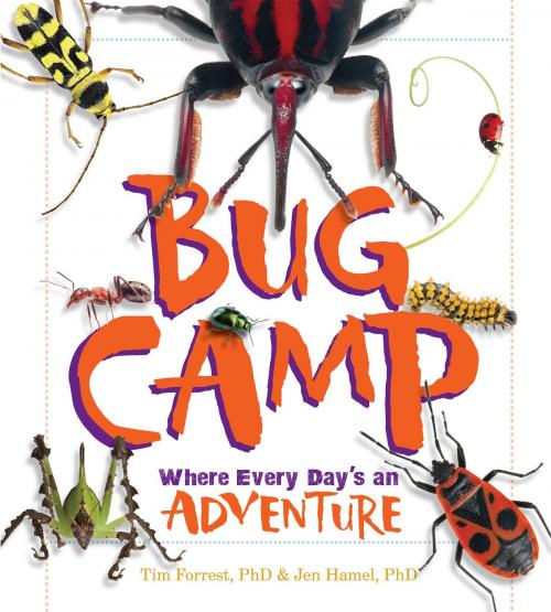 Cover of the book Bug Camp by Tim Forrest, Jen Hamel, MoonDance Press