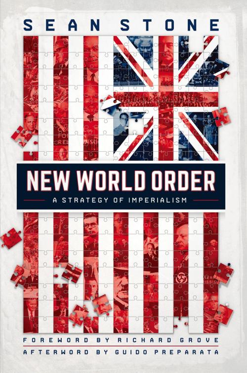 Cover of the book New World Order by Sean Stone, Richard Grove, Guido Preparata, Trine Day
