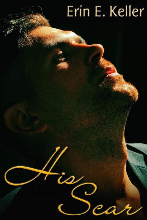 Cover of the book His Scar by Erin E. Keller, JMS Books LLC