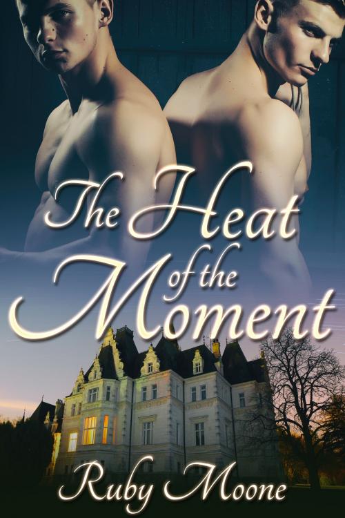 Cover of the book The Heat of the Moment by Ruby Moone, JMS Books LLC