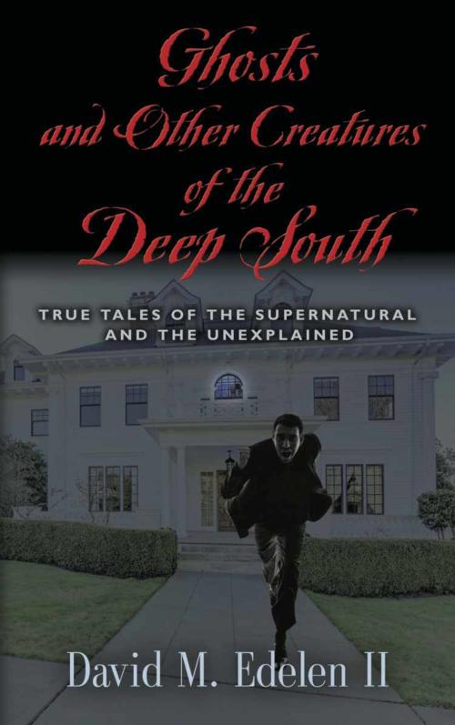 Cover of the book Ghosts and Other Creatures of the Deep South by David Middleton Edelen II, BookLocker.com, Inc.