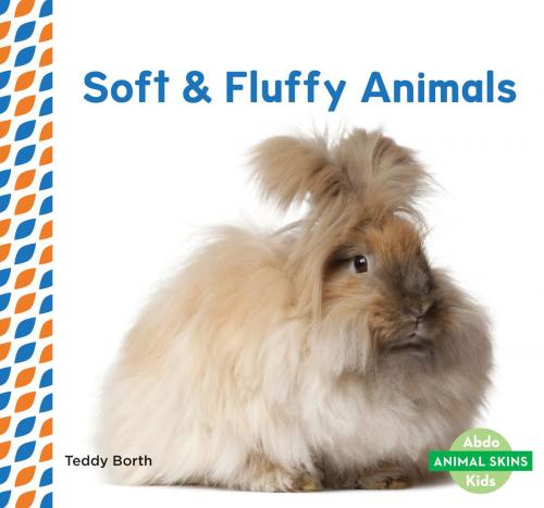 Cover of the book Soft & Fluffy Animals by Teddy Borth, ABDO