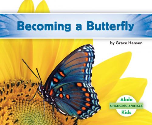 Cover of the book Becoming a Butterfly by Grace Hansen, ABDO