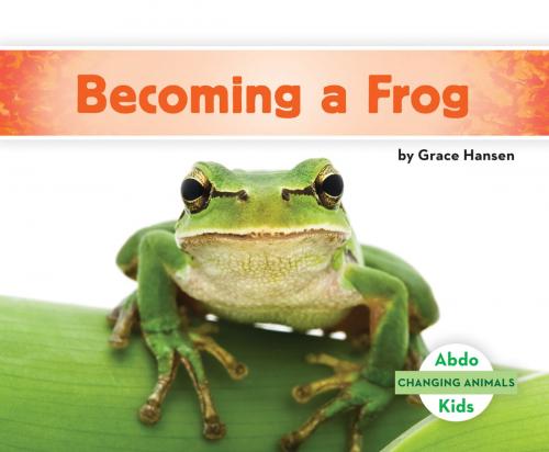Cover of the book Becoming a Frog by Grace Hansen, ABDO