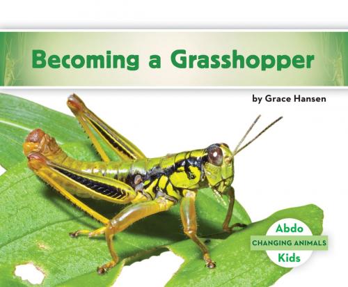 Cover of the book Becoming a Grasshopper by Grace Hansen, ABDO