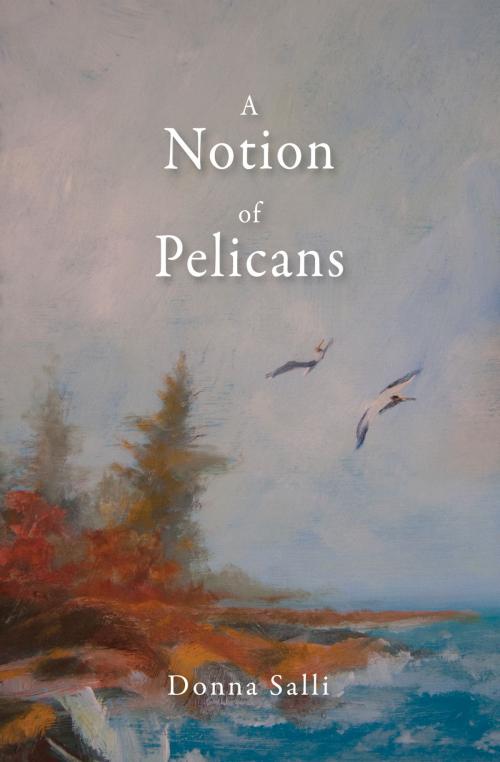 Cover of the book A Notion of Pelicans by Donna Salli, North Star Press of St. Cloud