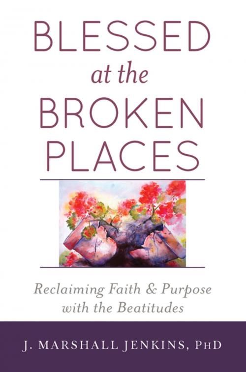 Cover of the book Blessed at the Broken Places by J. Marshall Jenkins PhD, Turner Publishing Company