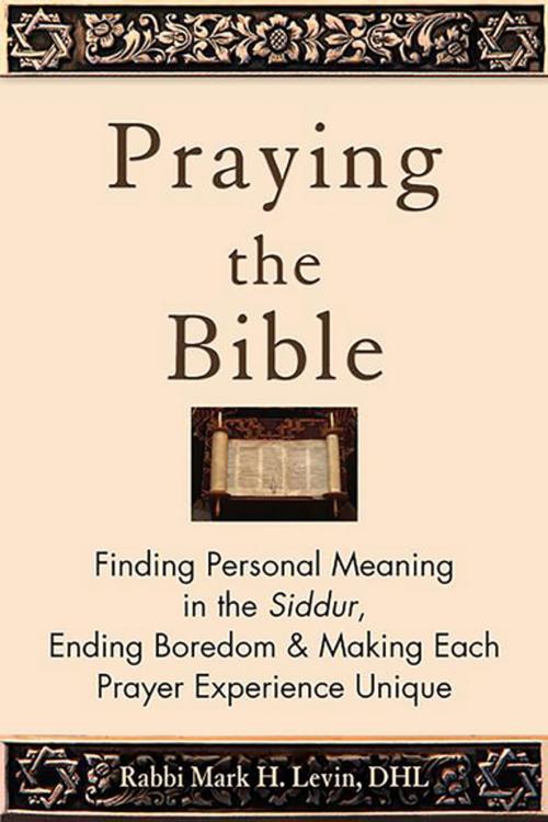 Cover of the book Praying the Bible by Rabbi Mark H. Levin, Turner Publishing Company