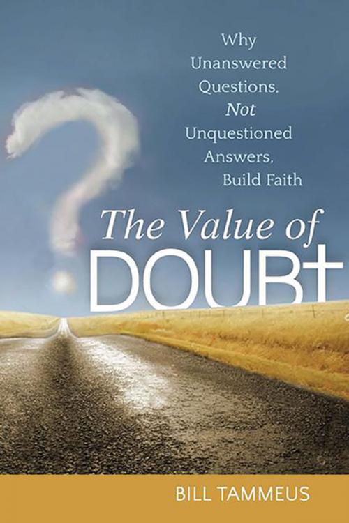 Cover of the book The Value of Doubt by Bill Tammeus, Turner Publishing Company