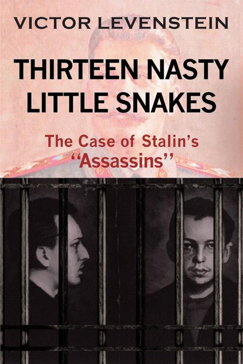 Cover of the book Thirteen Nasty Little Snakes, The Case of Stalins Assassins by Victor Levenstein, Page Publishing, Inc.