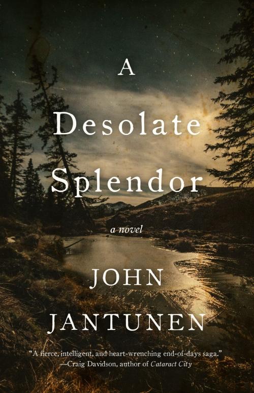 Cover of the book A Desolate Splendor by John Jantunen, ECW Press